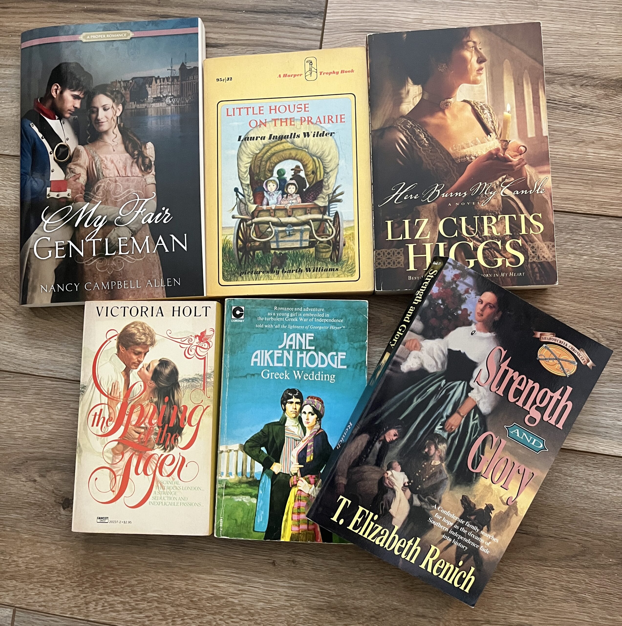 Historical Fiction Books t elizabeth renich